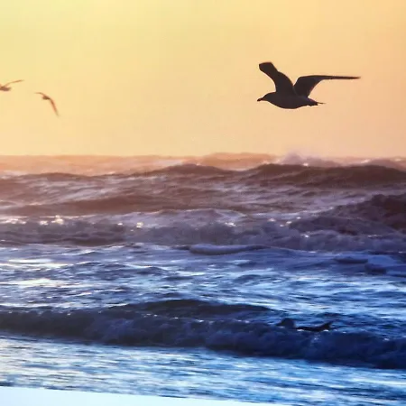 Beach Bungalow Hellevoetsluis * Hellevoetsluis